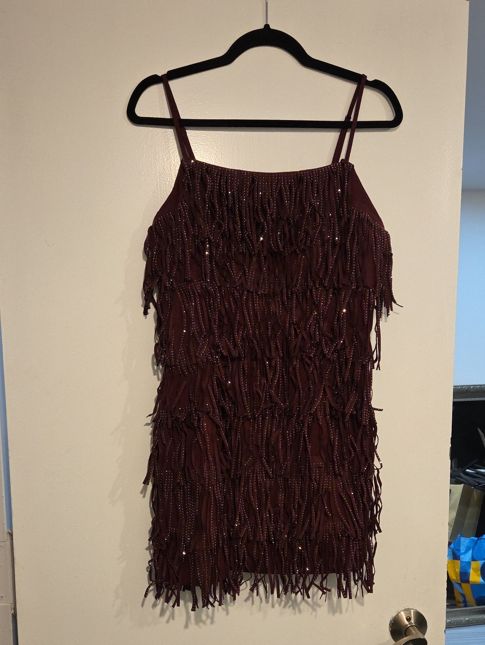 Endless Rose Burgundy Sequin Fringe Mini Dress